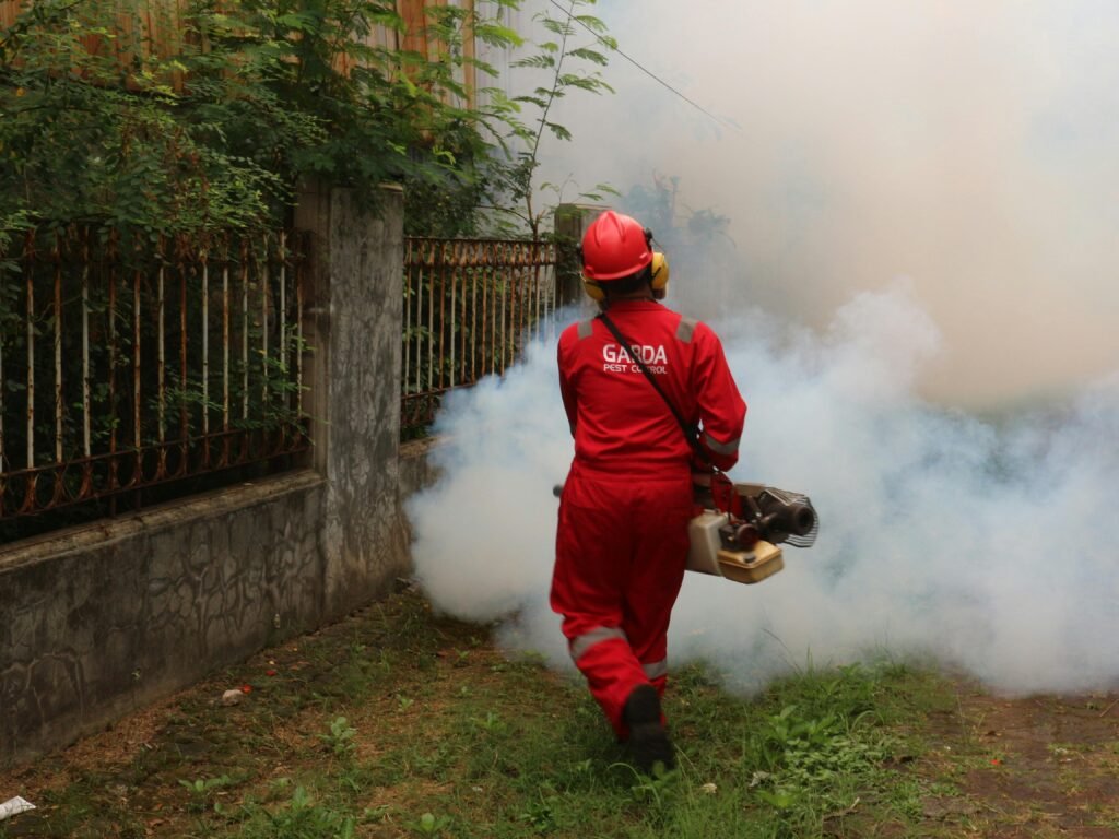 Relebale Pest Control Services