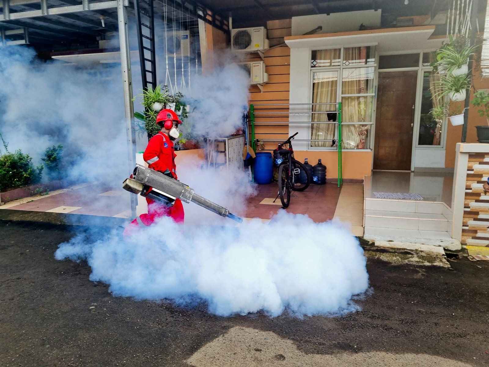 Relebale Pest Control Services